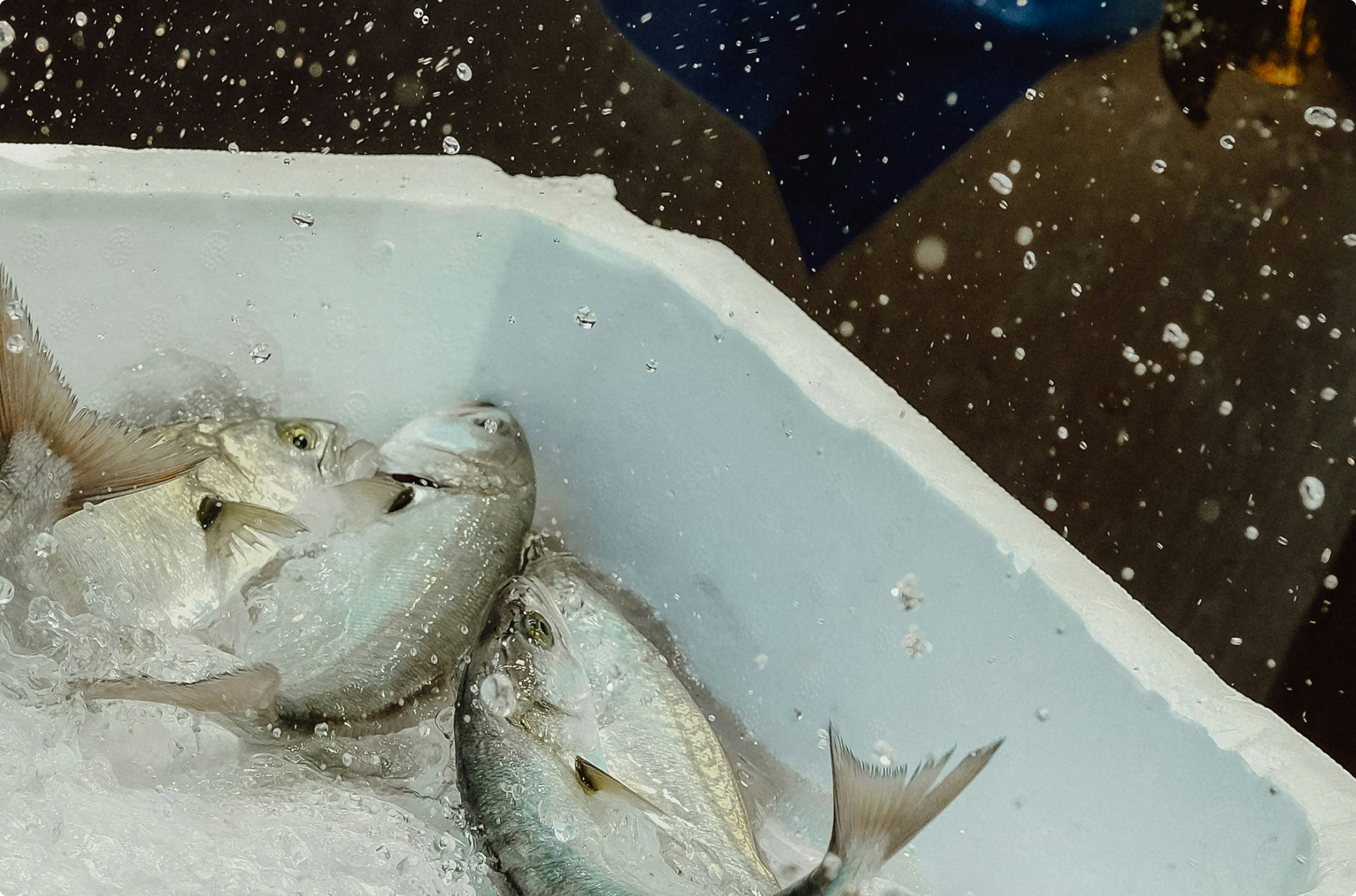 Maison avec des portes-fenêtres